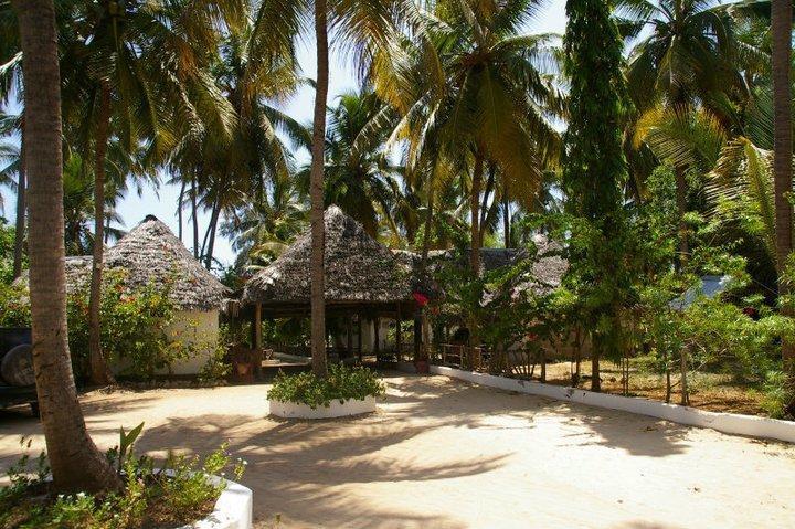 Ndame Beach Lodge Paje Luaran gambar