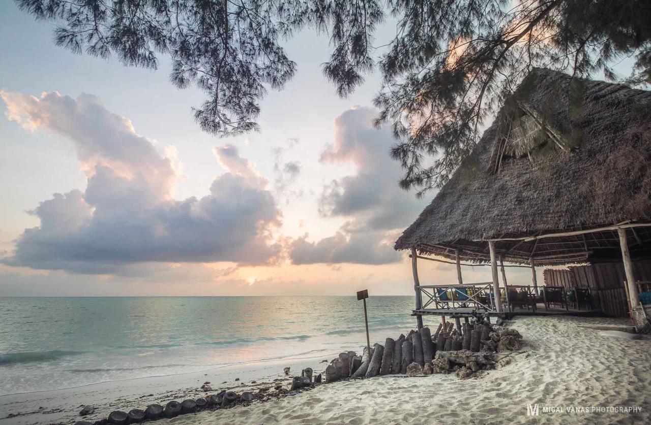 Ndame Beach Lodge Paje Luaran gambar