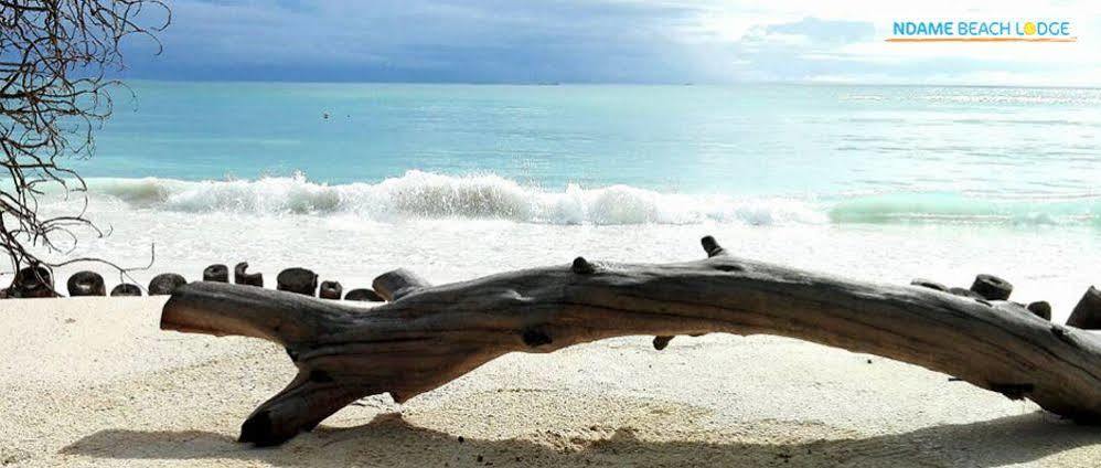 Ndame Beach Lodge Paje Luaran gambar